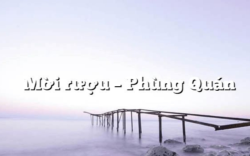 Sống chậm cuối tuần: 'Nhớ nhau tưới rượu xuống Hồ Tây'
