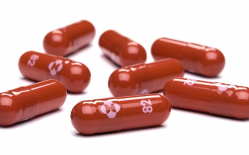 Mỹ đánh giá về thuốc Molnupiravir điều trị Covid-19