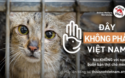 Chữ và nghĩa: Đâu mới là Việt Nam?