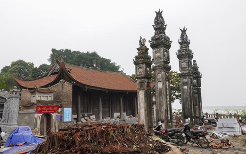 Từ 'cây đa đình Chèm' tới ký ức đô thị
