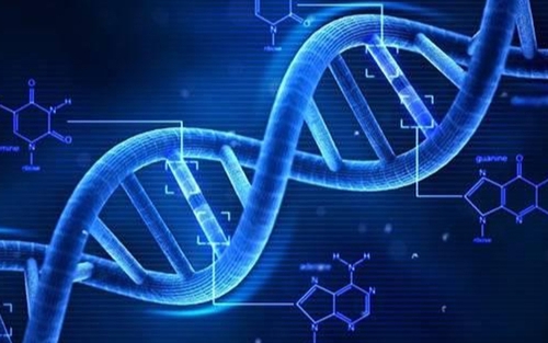 Lần đầu tiên giải mã thành công trình tự hoàn chỉnh của một bộ gene người