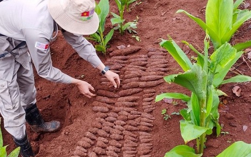 Quảng Trị phát hiện, xử lý thành công hầm chứa 144 vật liệu nổ