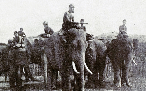 Ảnh = Ký ức = Lịch sử (Kỳ 46): Nghề săn và thuần dưỡng voi ở Tây Nguyên
