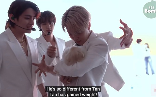 Fan ghen tị với chú cún được BTS cưng hết mực