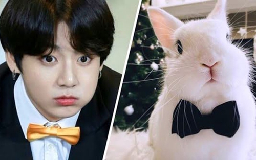 Cười ngất với những ‘meme’ chế theo ‘Thỏ’ Jungkook BTS