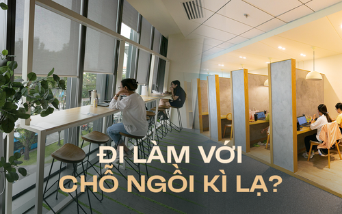 Đặc quyền chọn chỗ ngồi tuỳ nhu cầu mỗi ngày của nhân sự tại một công ty mà mọi dân văn phòng đều ao ước