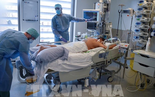 Giải mã mối liên quan tiềm ẩn giữa Covid-19 và bệnh Alzheimer