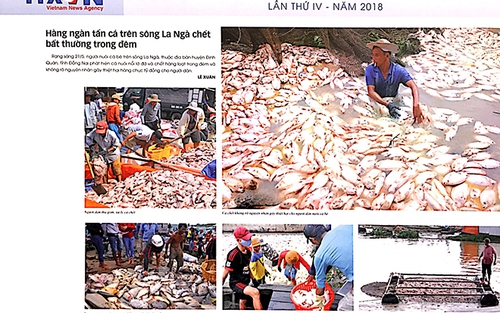 Trao giải nhiếp ảnh 'Kết nối đất phương Nam' lần 4