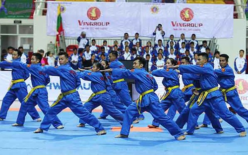 Võ Việt Nam đạt thành tựu mới