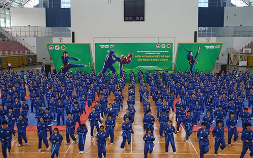Sau bóng đá, võ Việt khuấy động thể thao TPHCM
