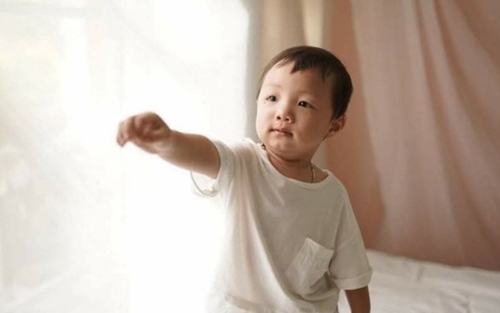 Vụ bé 2 tuổi bị bắt cóc tại Bắc Ninh: Thủ phạm khai bắt cháu về để nuôi