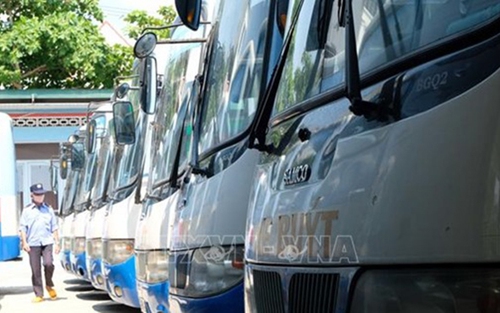 Nghiên cứu đề án vận hành 10 tuyến buýt mới bằng xe chạy điện ở Hà Nội