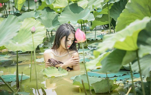 Dân mạng ‘ném đá’ dữ dội cô gái chụp ảnh khỏa thân dưới hồ sen