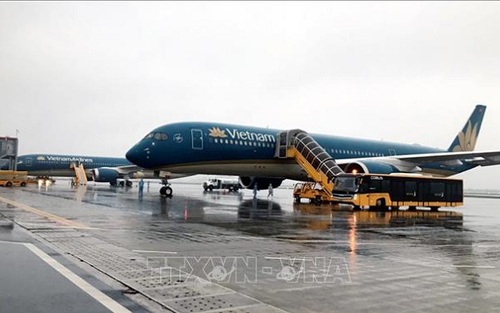 Các hãng hàng không đồng loạt bán vé ưu đãi Tết Tân Sửu 2021
