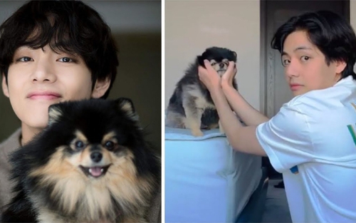 V BTS và Yeontan đốn tim fan với video mới, đứng Top trending toàn cầu