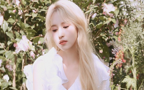 Fan phẫn nộ đòi 'công bằng' cho Jeongyeon Twice
