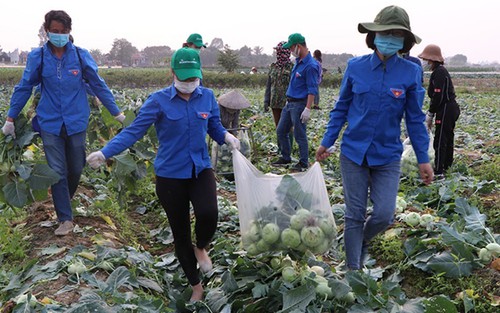 Góc nhìn 365: Điệp khúc 'giải cứu nông sản'