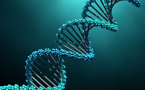 Israel phát hiện cơ chế đột biến gene gây chứng tự kỷ