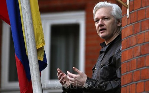 Vụ bắt nhà sáng lập WikiLeaks: Các chuyên gia LHQ chỉ trích mức án 'bất hợp lý'