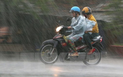 Thời tiết ngày 19/2: Bắc Bộ có mưa, sương mù, trời chuyển lạnh