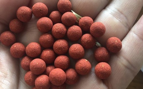 Ngộ độc 'phenformin' bị cấm cách đây 40 năm, một bệnh nhân tiểu đường tử vong
