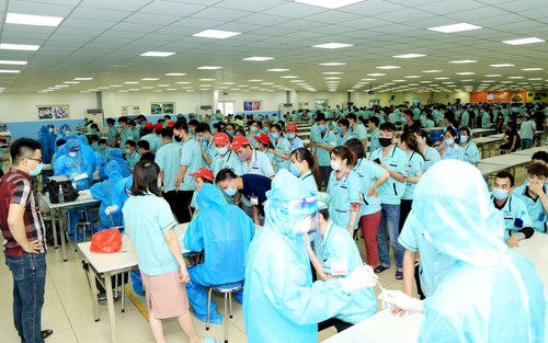 Dịch Covid-19 ngày 11/1: Yên Bái phát hiện 48 ca mắc tại Công ty Thỏ Nipponzoki Việt Nam