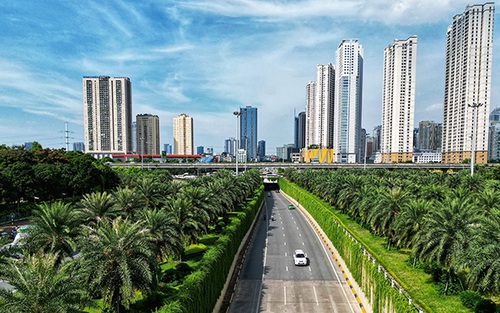 Hà Nội tăng cường 'xanh hóa' các tuyến giao thông
