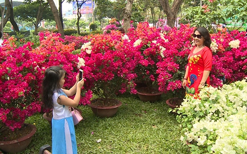 Cấm tổ chức chợ hoa Tết Mậu Tuất 2018 trên vỉa hè, lòng đường