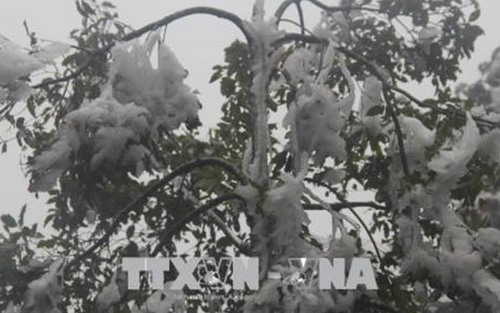 Thời tiết ngày 4/2: Nhiệt độ miền Bắc giảm sâu, vùng núi xuất hiện băng giá dày đặc