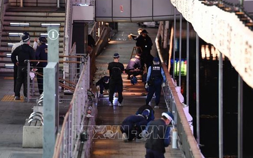 Hỗ trợ gia đình người Việt bị sát hại ở Osaka, Nhật Bản