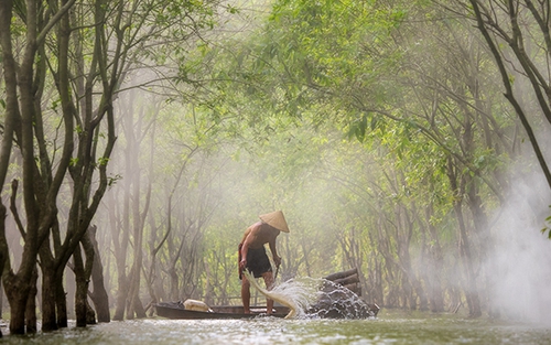 Cuộc sống xanh trên hồ Quan Sơn