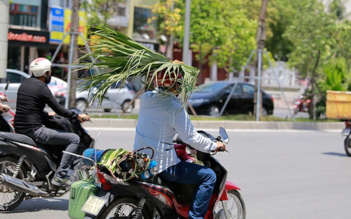Người dân Hà Nội kháng cự với cái nắng kỷ lục bằng 'lá chắn di động'