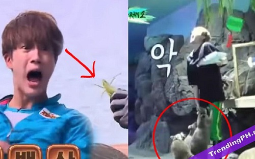 12 thần tượng Kpop không thể sống sót một mình trong tự nhiên: BTS, EXO...