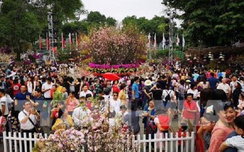 Lễ hội hoa Anh đào Nhật Bản – Hà Nội 2019 kéo dài thêm 1 ngày