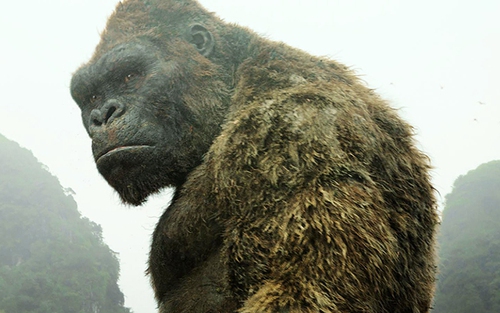 Công bố đề cử Oscar 2017: Bom tấn 'Kong: Skull Island' quay tại Việt Nam được đề cử