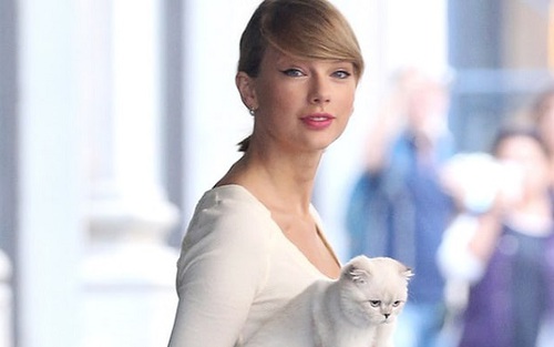 Taylor Swift thủ vai chính cạnh loạt sao trong phim của đạo diễn đoạt giải Oscar