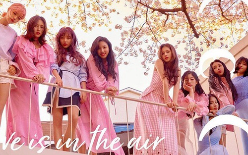 Fan của Twice có hành xử đáng ngưỡng mộ khi thần tượng hủy show đột ngột