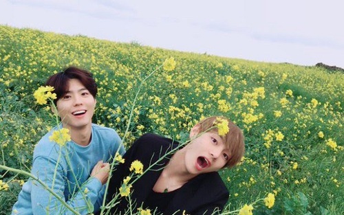 V BTS từng khăn gói tới thăm Park Bo Gum trong quân đội