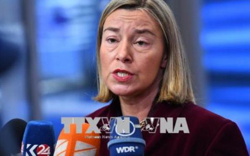 EU ủng hộ giải pháp chính trị, nhiều nước chia sẻ quan điểm phản đối hành động quân sự tại Syria