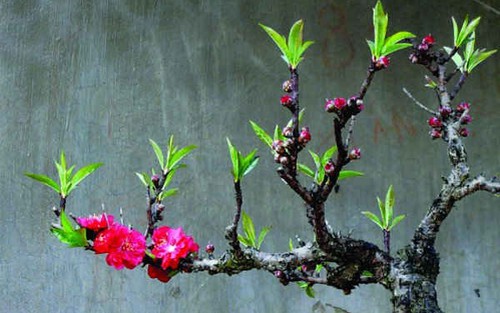 Tản văn cuối năm: Tìm kiếm sự cân bằng