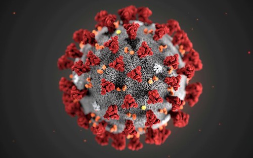 Virus Corona đã gây đại dịch từ cách đây 20.000 năm