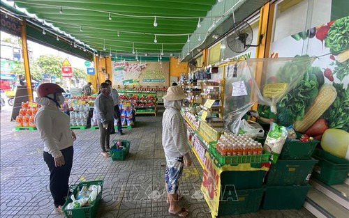 Thành phố Hồ Chí Minh kêu gọi kiều bào hiến kế phòng, chống Covid-19
