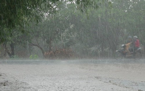 Vùng núi và trung du Bắc Bộ có mưa rất to về đêm và sáng
