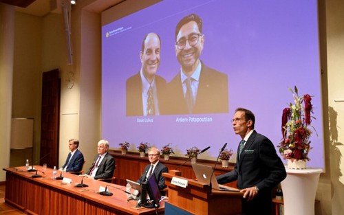 Giải Nobel Y học 2021 và các giải Nobel Y học 10 năm trở lại đây