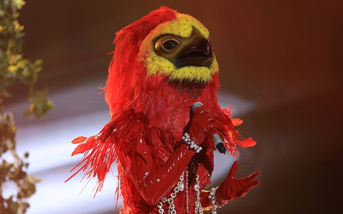 NTK mascot The Masked Singer lên tiếng về việc Phượng Hoàng Lửa rơi mặt nạ!