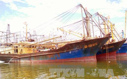 Thủ tướng giao Bộ Công an điều tra vụ tàu vỏ thép ở Bình Định