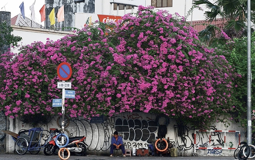 Không khí lạnh yếu, Hà Nội và miền Bắc chỉ se lạnh