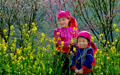 Dự báo thời tiết từ nay đến Tết Nguyên đán