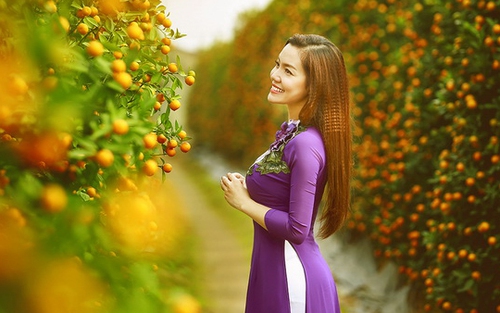 Dự báo thời tiết Tết nguyên đán: Miền Bắc nắng ấm, ngày 30 Tết khả năng mưa nhỏ