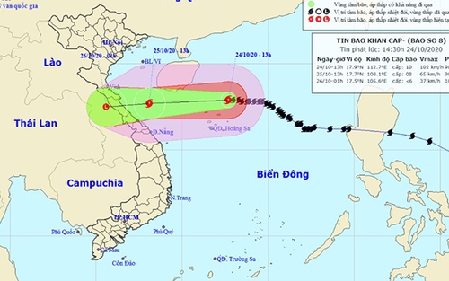 Tin bão mới nhất cơn bão số 8
